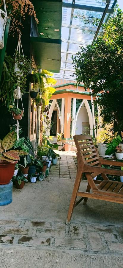 Latansa Homestay Banyuwangi  Εξωτερικό φωτογραφία